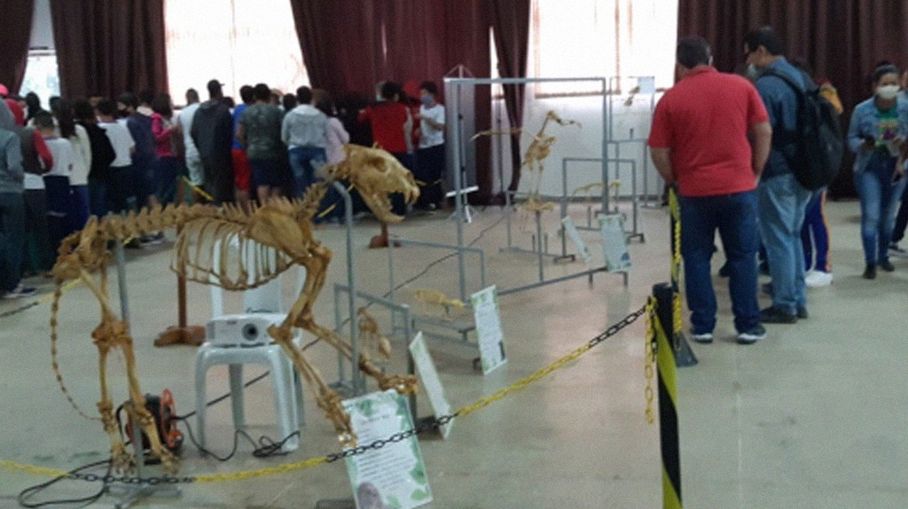 Mostra de anatomia passou em Cáceres-MT em março e chega ao Distrito de Mimoso em maio.